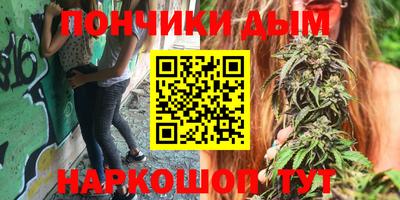 индика Мариинск