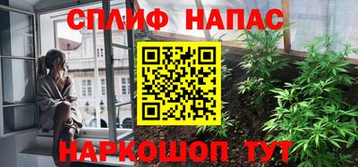 индика Мариинск
