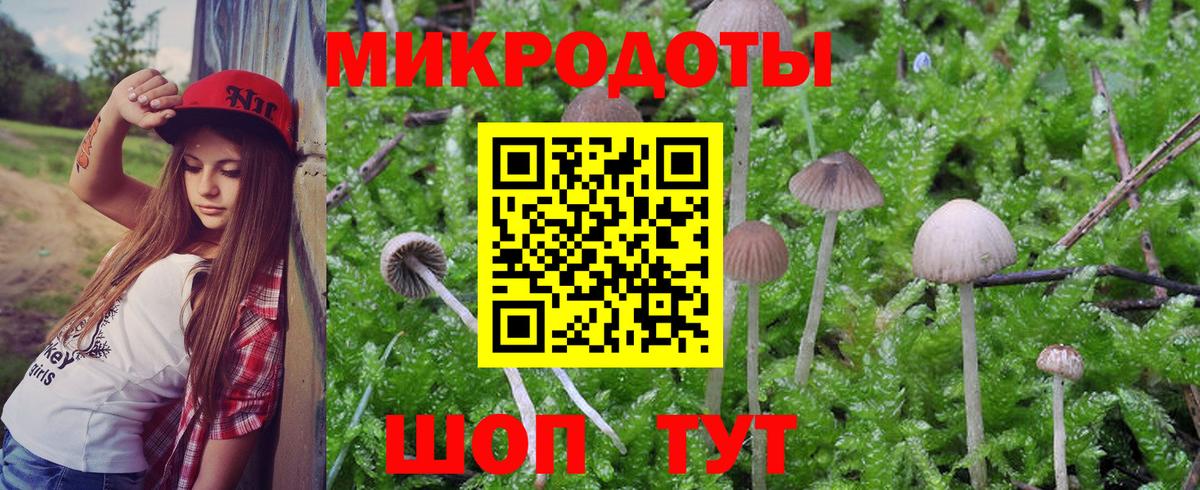 Ижевск  где можно купить наркотик  Вход с VPN  Галлюциногенные грибы Psilocybe 